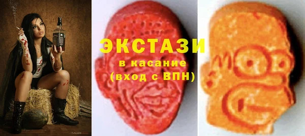 индика Арсеньев