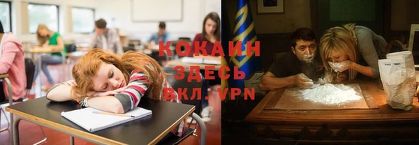 индика Арсеньев
