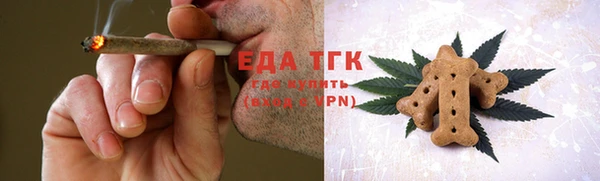 индика Арсеньев