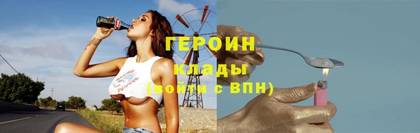индика Арсеньев
