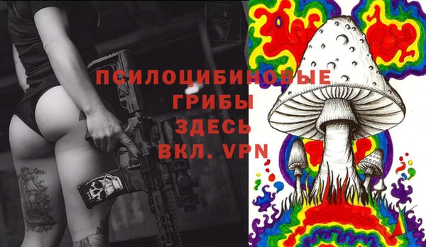 индика Арсеньев