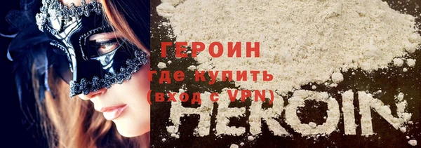 индика Арсеньев