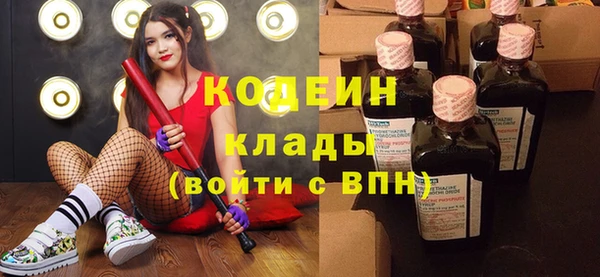 индика Арсеньев
