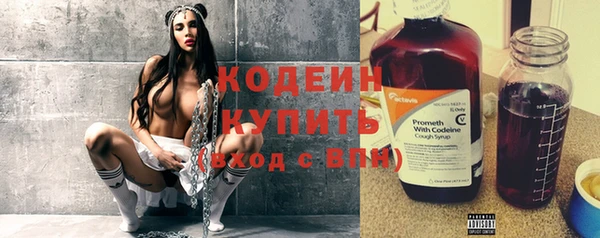 индика Арсеньев