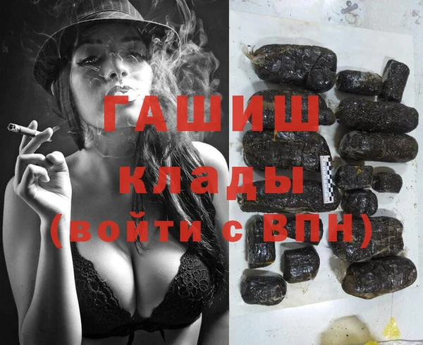 индика Арсеньев
