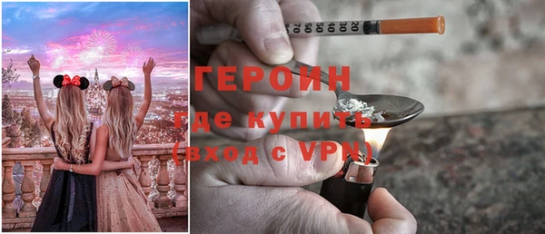 индика Арсеньев